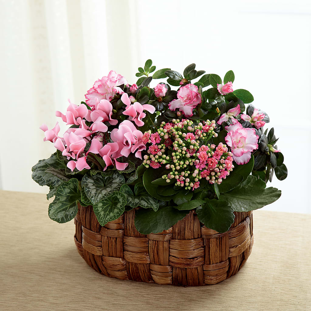 Pink Assortment – RESILIENT ROSES FLORAL & DECOR LLC, Jacksonville FL