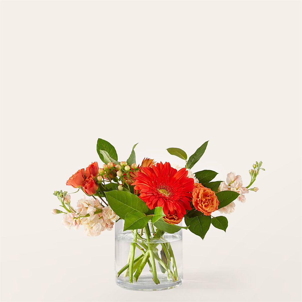 Paloma Please Bouquet – RESILIENT ROSES FLORAL & DECOR LLC, Jacksonville FL