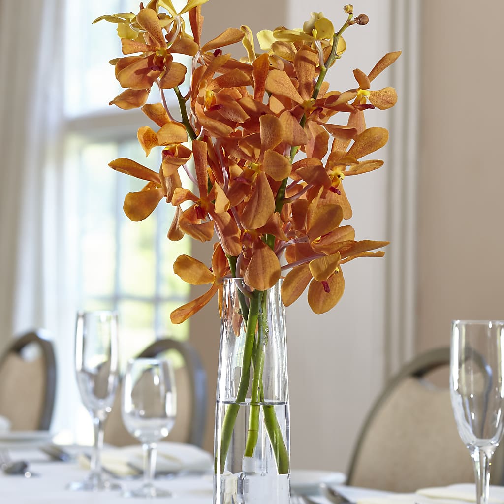 Orange Mokara Bud Vase – RESILIENT ROSES FLORAL & DECOR LLC, Jacksonville FL