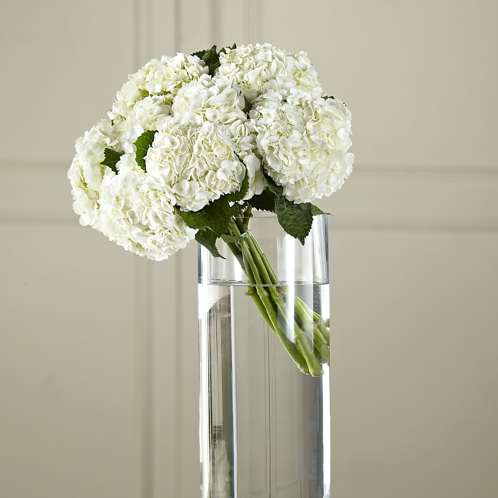 White Hydrangea Hand-Tied Bouquet – RESILIENT ROSES FLORAL & DECOR LLC, Jacksonville FL