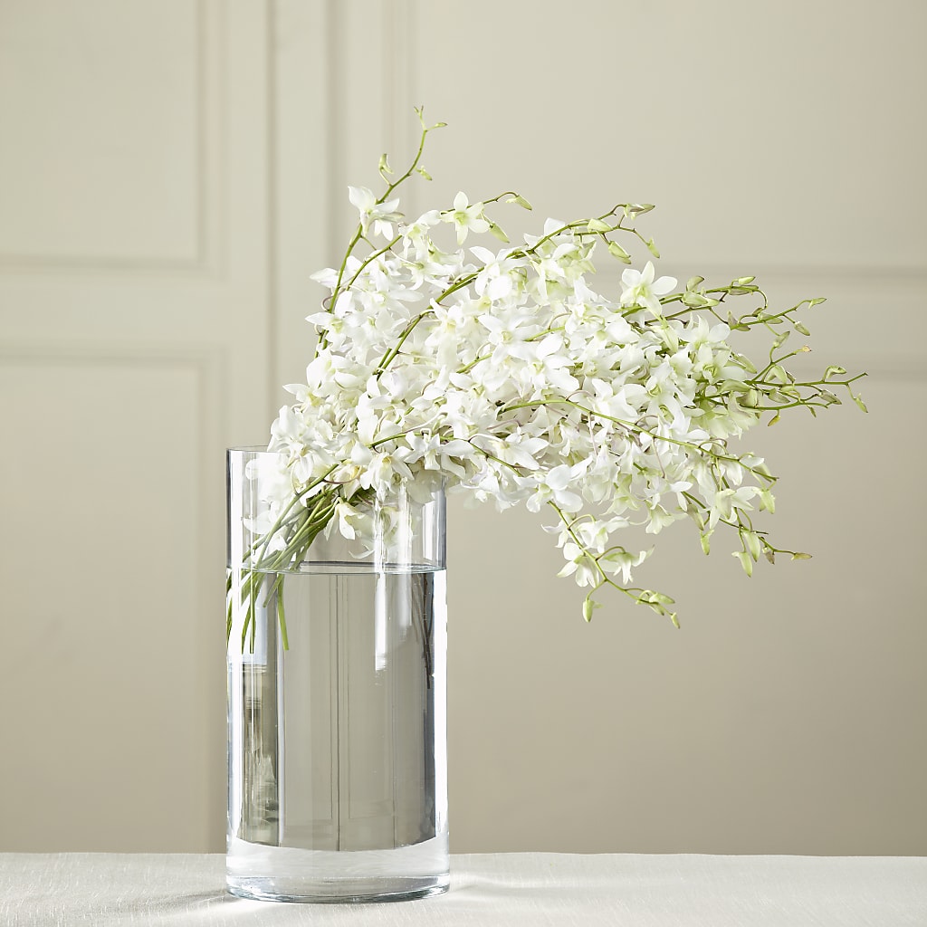 White Dendrobium Bouquet – RESILIENT ROSES FLORAL & DECOR LLC, Jacksonville FL