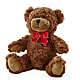 Adorable Plush Bear – RESILIENT ROSES FLORAL & DECOR LLC, Jacksonville FL