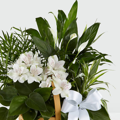 Peace & Serenity Dishgarden – RESILIENT ROSES FLORAL & DECOR LLC, Jacksonville FL