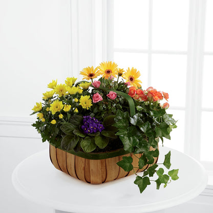 Gentle Blossoms Basket – RESILIENT ROSES FLORAL & DECOR LLC, Jacksonville FL