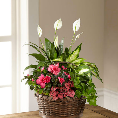 Dream in Pink Dishgarden – RESILIENT ROSES FLORAL & DECOR LLC, Jacksonville FL