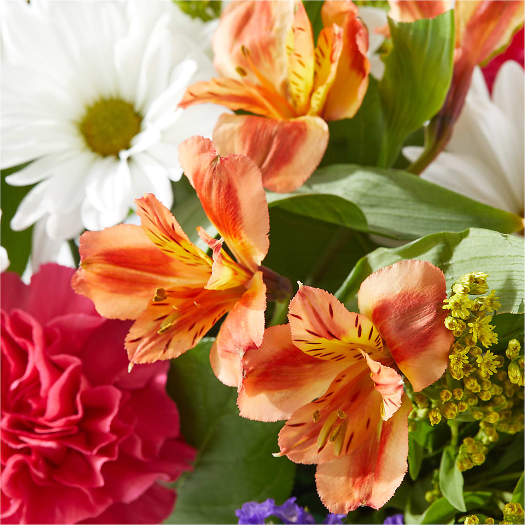 Oopsie Daisy Box Bouquet – RESILIENT ROSES FLORAL & DECOR LLC, Jacksonville FL