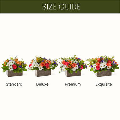 Oopsie Daisy Box Bouquet – RESILIENT ROSES FLORAL & DECOR LLC, Jacksonville FL