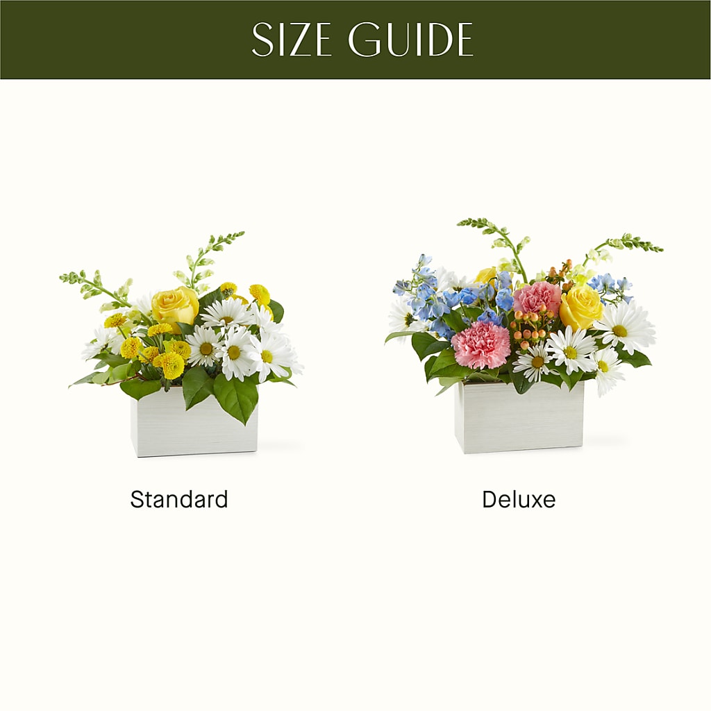 Sun Salutation Box Bouquet – RESILIENT ROSES FLORAL & DECOR LLC, Jacksonville FL