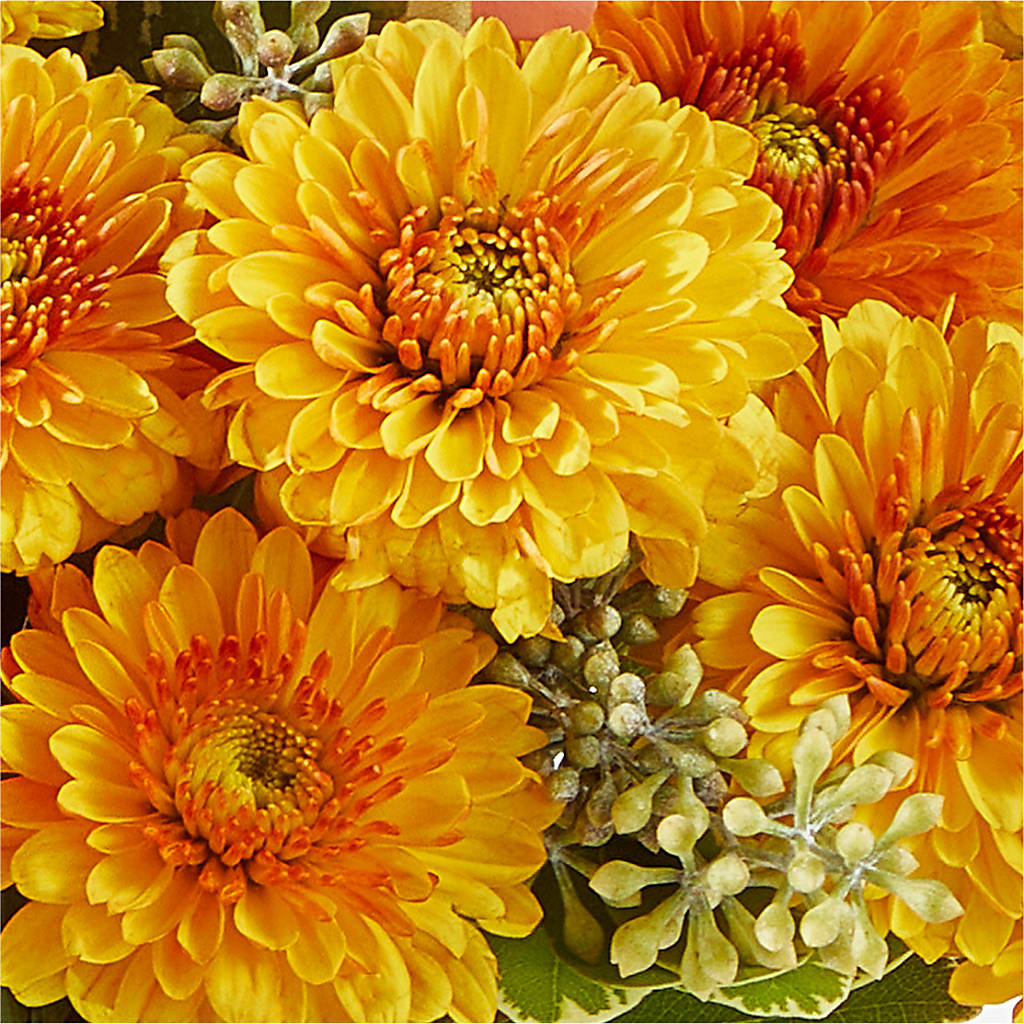 Peachy Pumpkin – RESILIENT ROSES FLORAL & DECOR LLC, Jacksonville FL
