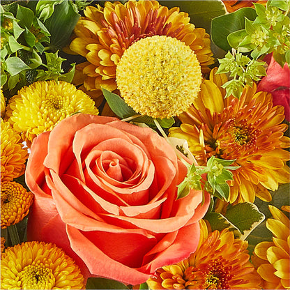 Gourdgeous Pumpkin – RESILIENT ROSES FLORAL & DECOR LLC, Jacksonville FL