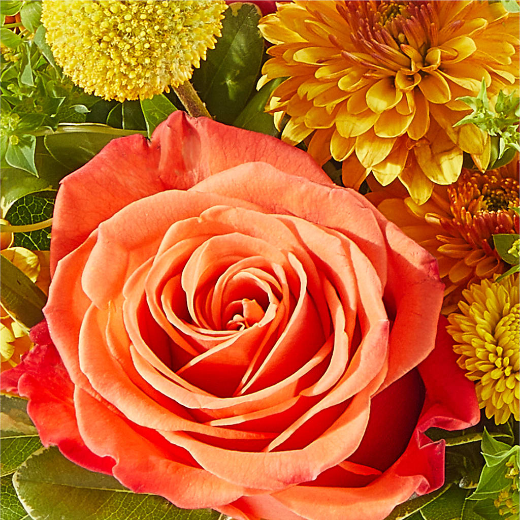 Gourdgeous Pumpkin – RESILIENT ROSES FLORAL & DECOR LLC, Jacksonville FL
