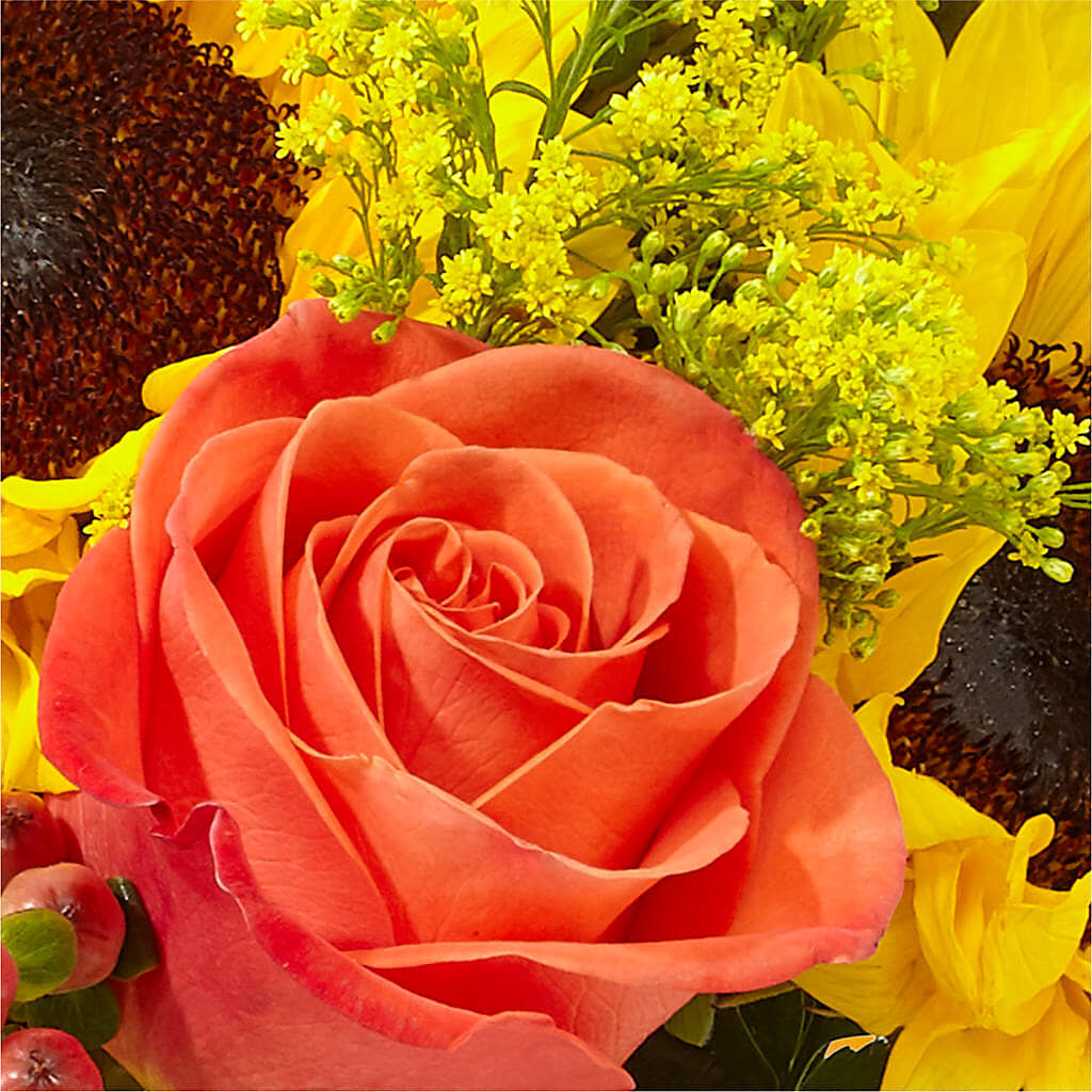 Pick of the Patch Pumpkin Bouquet – RESILIENT ROSES FLORAL & DECOR LLC, Jacksonville FL