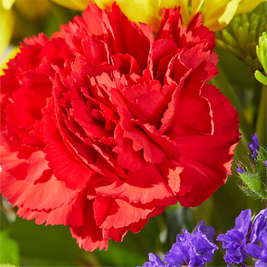 Brighter Days Bouquet – RESILIENT ROSES FLORAL & DECOR LLC, Jacksonville FL