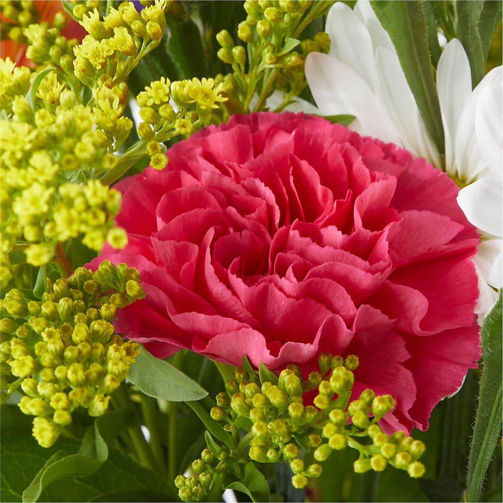 Oopsie Daisy Bouquet – RESILIENT ROSES FLORAL & DECOR LLC, Jacksonville FL