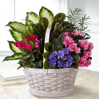 Peaceful Garden Planter – RESILIENT ROSES FLORAL & DECOR LLC, Jacksonville FL