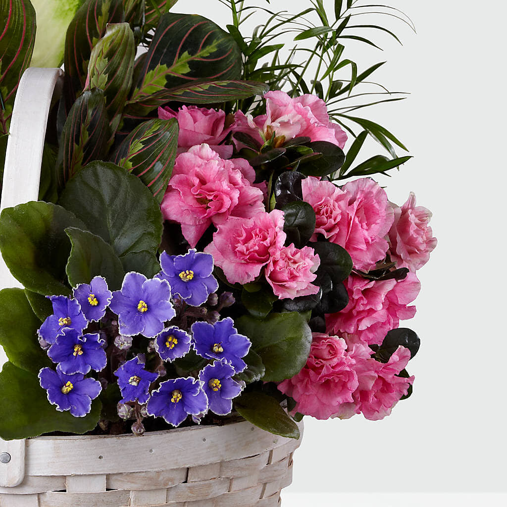 Peaceful Garden Planter – RESILIENT ROSES FLORAL & DECOR LLC, Jacksonville FL