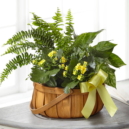 Always Dear Dishgarden – RESILIENT ROSES FLORAL & DECOR LLC, Jacksonville FL