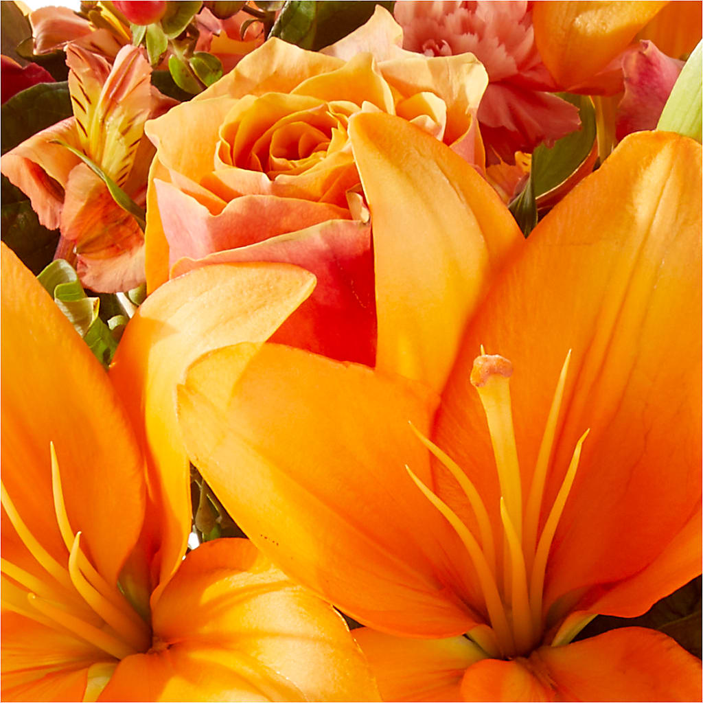 Afternoon Light Bouquet – RESILIENT ROSES FLORAL & DECOR LLC, Jacksonville FL
