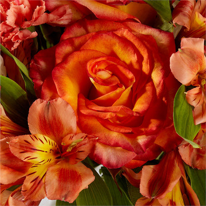 Apricot Glow Bouquet – RESILIENT ROSES FLORAL & DECOR LLC, Jacksonville FL