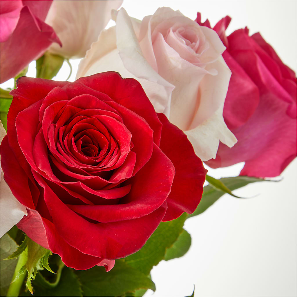 Charming Rose Bouquet – RESILIENT ROSES FLORAL & DECOR LLC, Jacksonville FL
