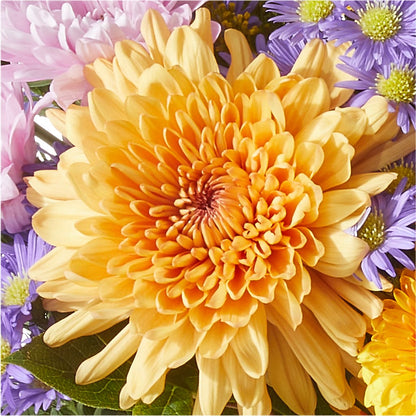 Countryside Bouquet – RESILIENT ROSES FLORAL & DECOR LLC, Jacksonville FL