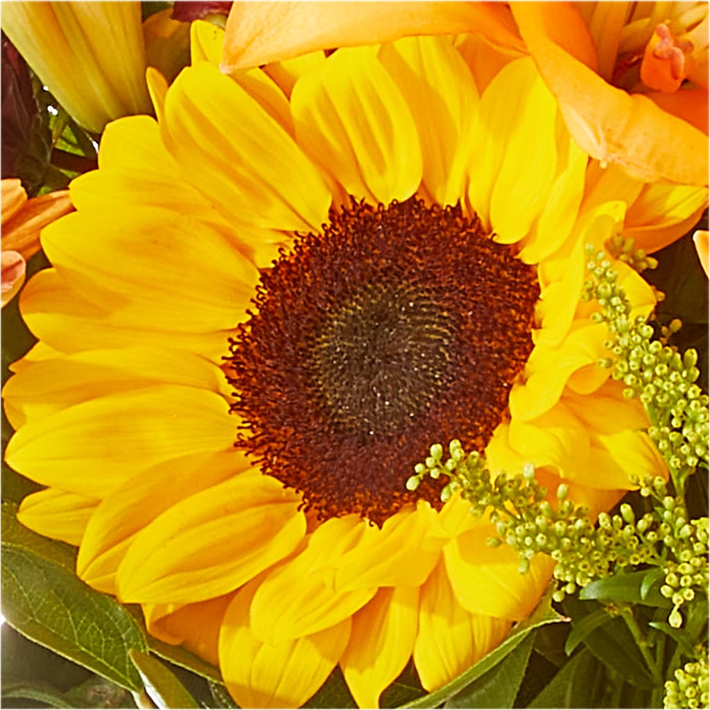 Seasons Change Bouquet – RESILIENT ROSES FLORAL & DECOR LLC, Jacksonville FL