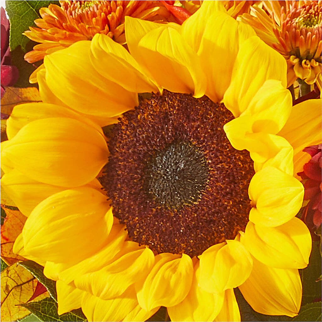 Sunny Side Bouquet – RESILIENT ROSES FLORAL & DECOR LLC, Jacksonville FL