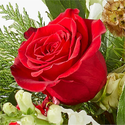 Deck the Halls Bouquet – RESILIENT ROSES FLORAL & DECOR LLC, Jacksonville FL