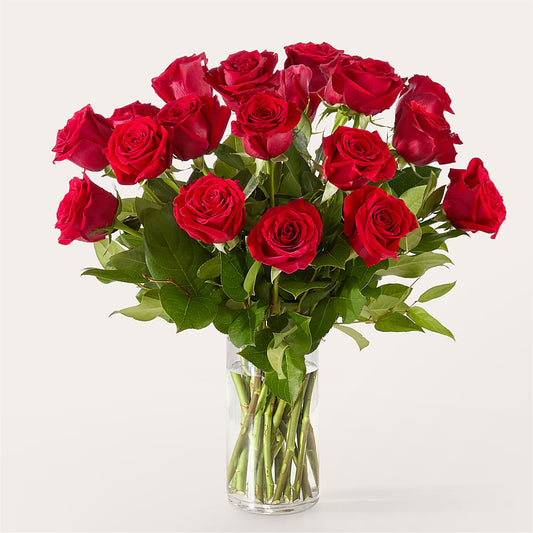 The One Red Rose Bouquet – RESILIENT ROSES FLORAL & DECOR LLC, Jacksonville FL