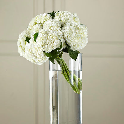 White Hydrangea Hand-Tied Bouquet – RESILIENT ROSES FLORAL & DECOR LLC, Jacksonville FL