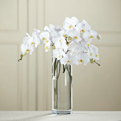 White Phalaenopsis Bouquet – RESILIENT ROSES FLORAL & DECOR LLC, Jacksonville FL